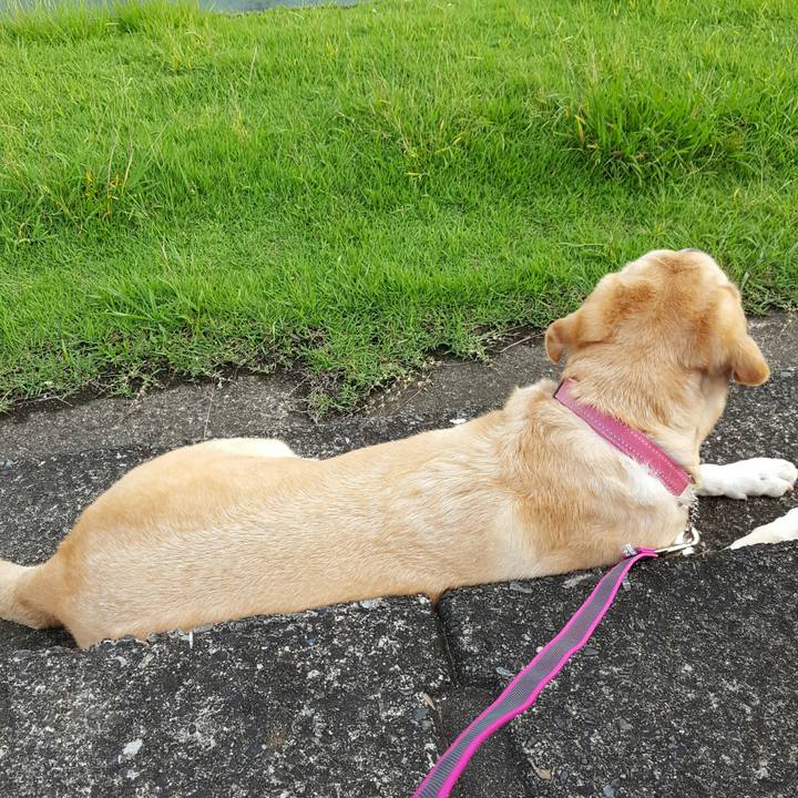 Fa66b2db 4259 4095 9182 b1116d68e99d