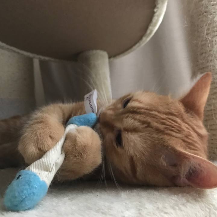 Fa66b703 d2af 447b 9c1c 812e7c97145b