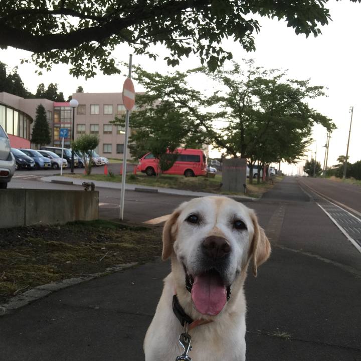 Fa66f29a bac2 4ad5 95ce 389f93fc06df