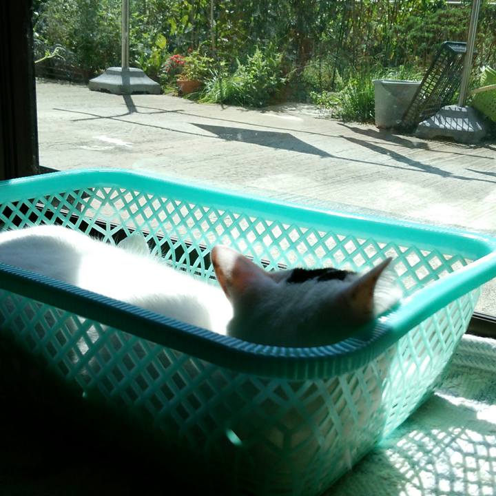 Fa674854 b3ed 4a79 a06c 3ea4bc75c56a