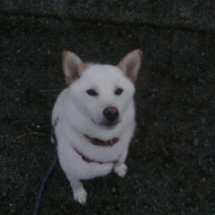 Fa697089 1512 47f1 9565 a54e8a64148d