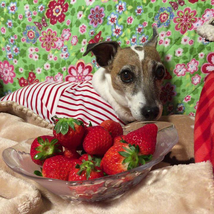 Fa6981f9 44f1 4ee7 907f c593c8e4c3a2