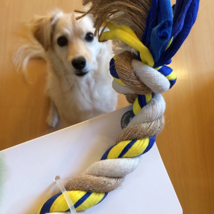 Fa69a883 6cf9 4029 af7a a5ddacf367a6