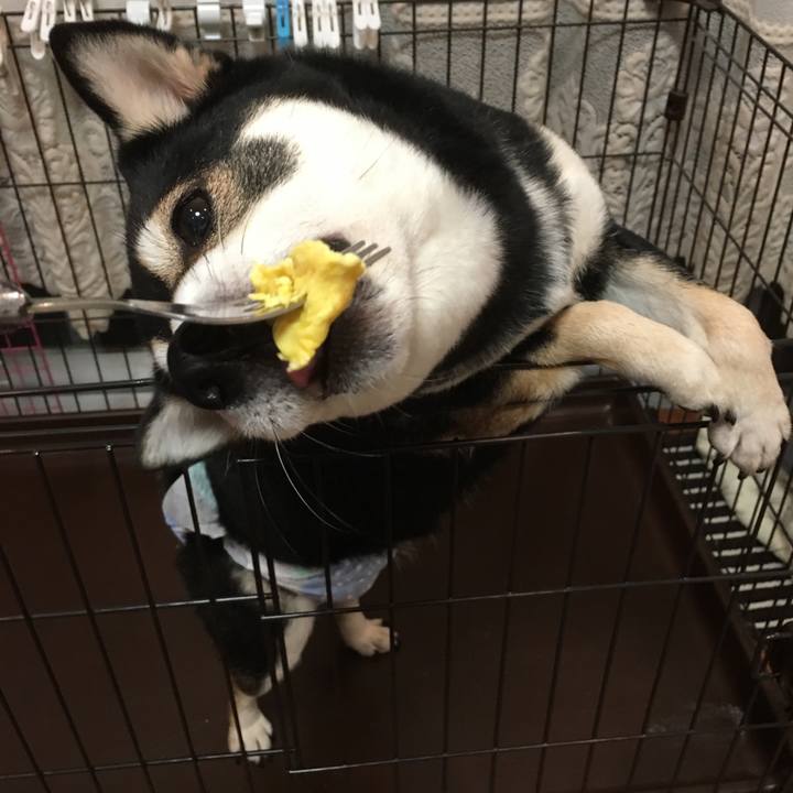 Fa69d75b efc8 413b b58a 670c490476a9