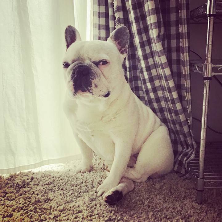 Fa69d820 0eb4 44eb bae5 44ca334a08f3