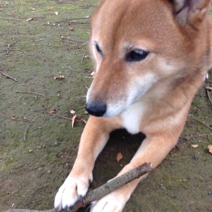 Fa6a131e adde 489e af4a 03442b120458