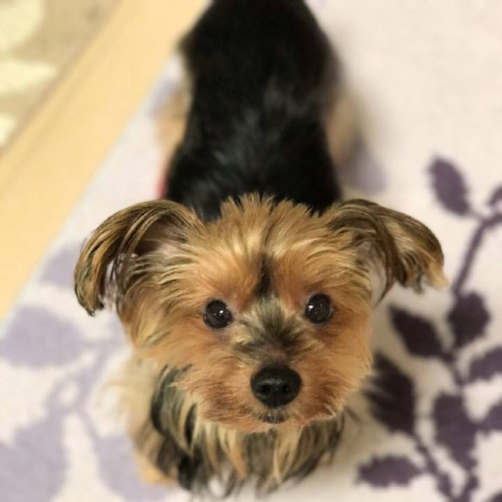 Fa6a1a90 ebb6 44ba 9bc6 850d2f0209d1