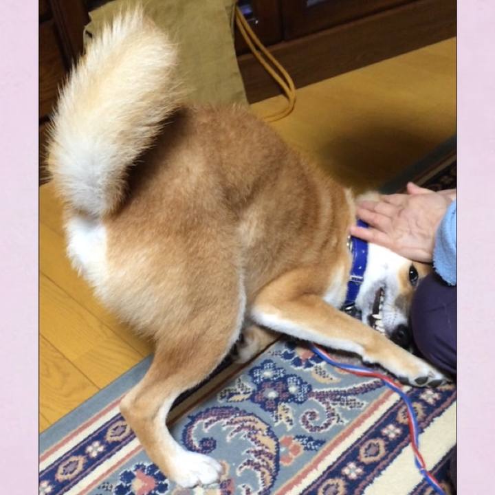 Fa6abf47 2872 4df5 b5af 9a75d5478fb8