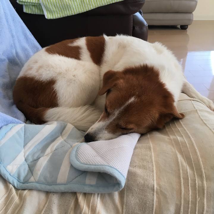 Fa6b4a9d 9863 42ce 97c0 4920fafaeab5