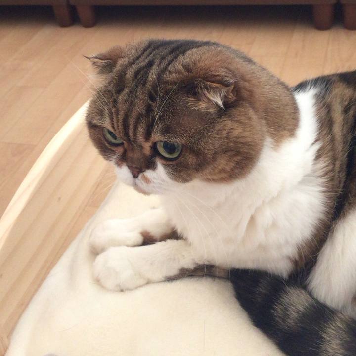 Fa6bccc3 4020 4b4e 98f6 d81d0875a23e