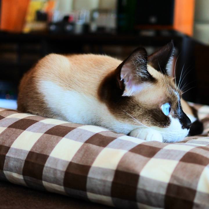 Fa6c3719 7887 4a18 b481 51ba72f15071