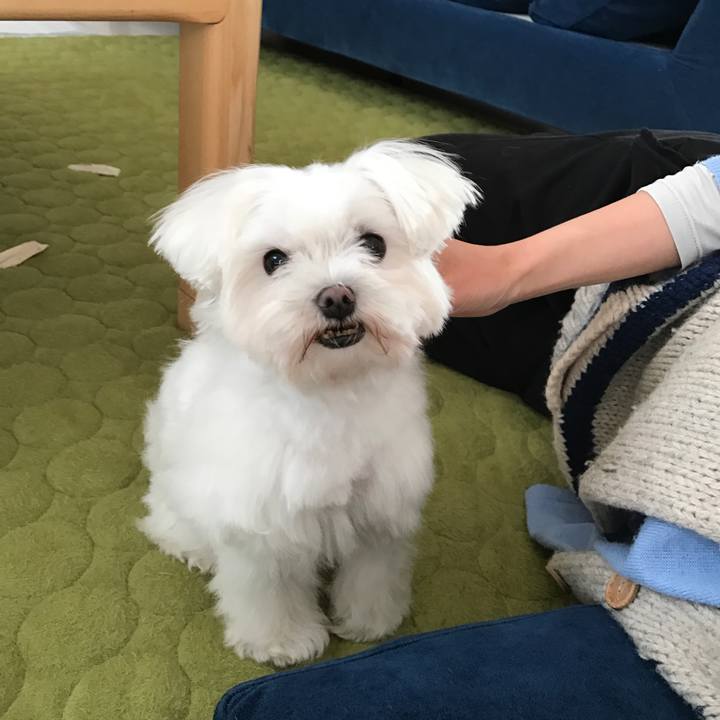 Fa6c7ee7 4a38 488c a7af f8684264695a