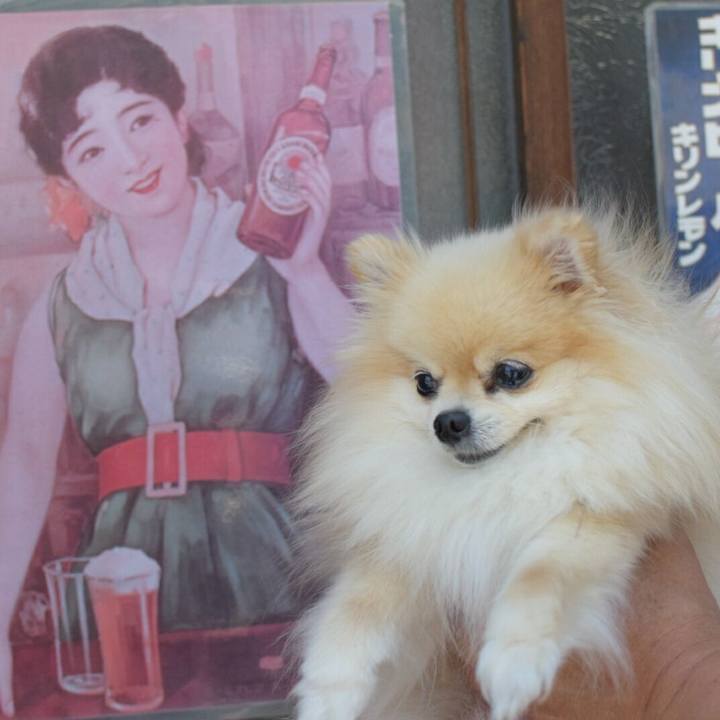 Fa6d3428 7736 45e4 bdf9 19578951fcab