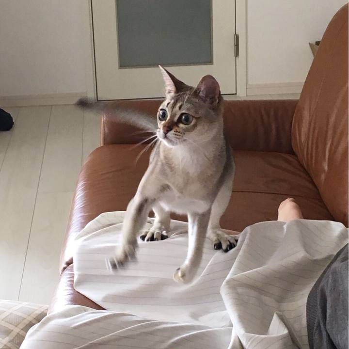 Fa6d71ab 9c6f 439b 938f 84951e90a714