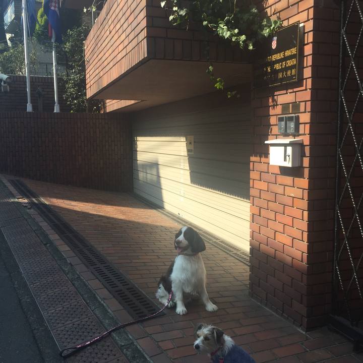 Fa6e14b6 5357 4f97 9b89 81df10a9eb6f