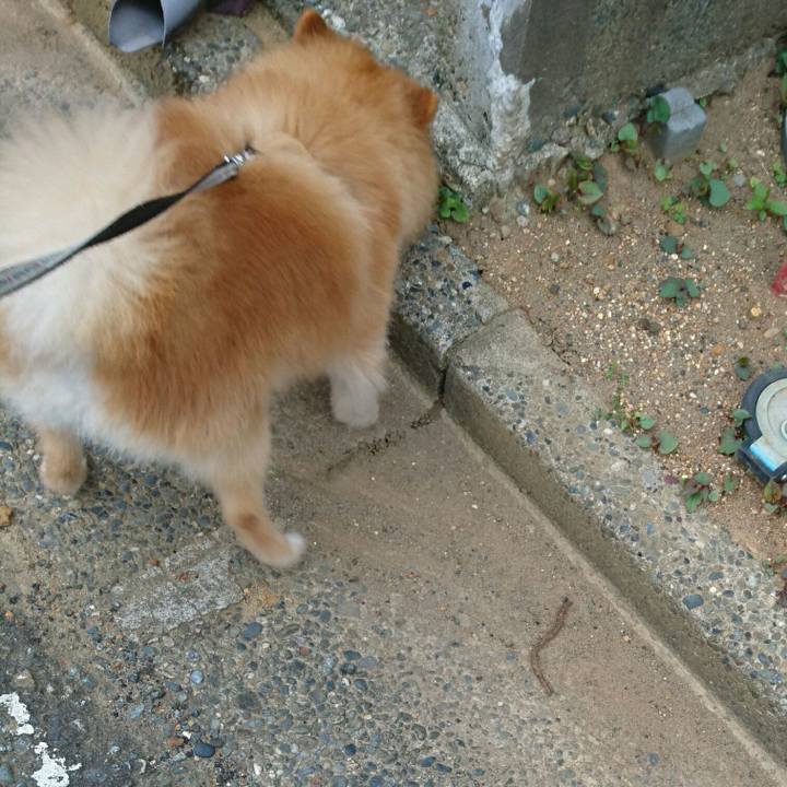 Fa6ef4fb 45fd 43ff a28e 8b467a32df4e