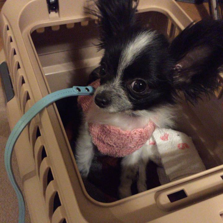 Fa6f885c 6a51 49d8 821a 7aee06bdb538