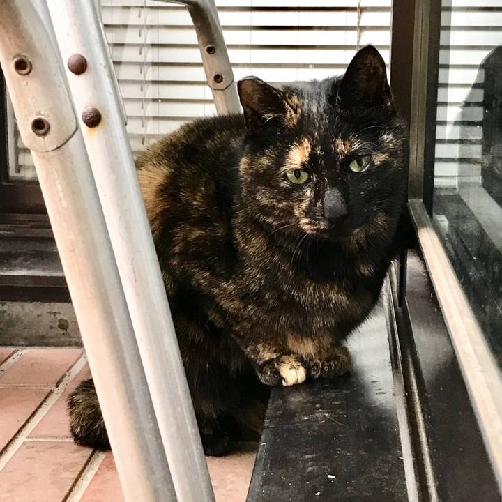 Fa701b77 d3e7 4289 b0a2 317d11749f28