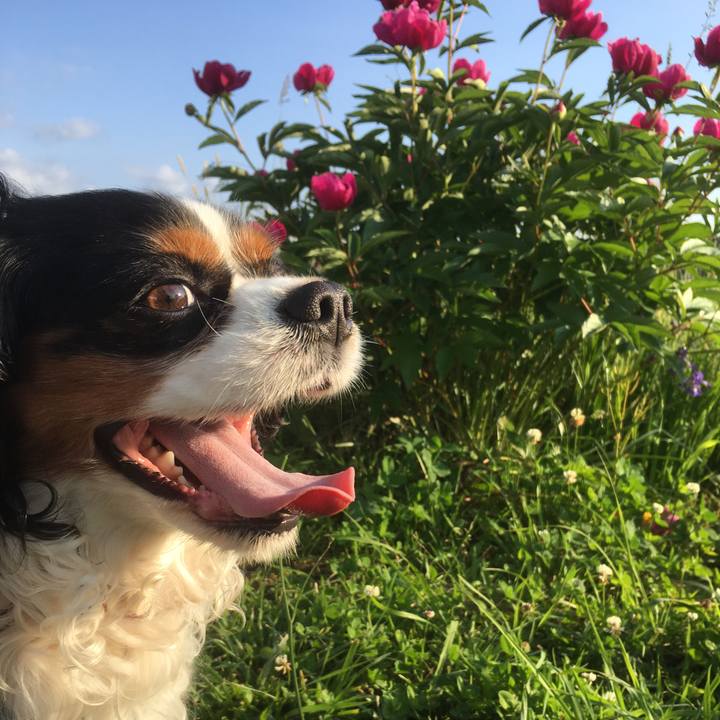 Fa70339e 56c3 4b7a b6e7 d99d736610ce