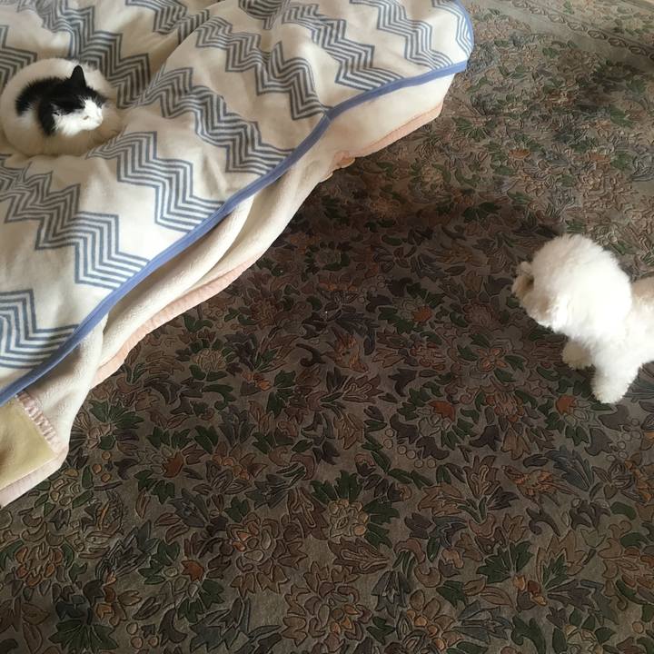 Fa70354f d6dc 450b ae24 220b7b58b3e8