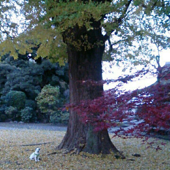 Fa70cfde cb03 4205 9ae8 e7c5ad12c23a