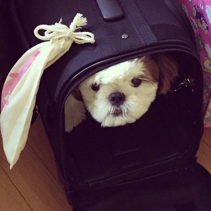 Fa711a4c ea29 46a9 93b2 4ed06f4aa034