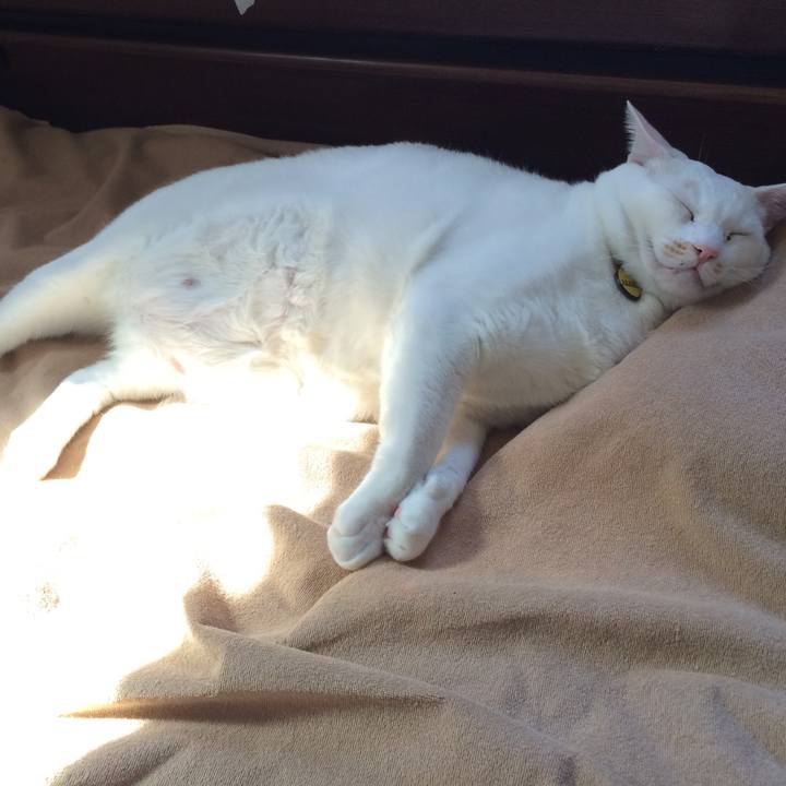 Fa7202df 058f 4f87 bdd9 df56cf9c08ca