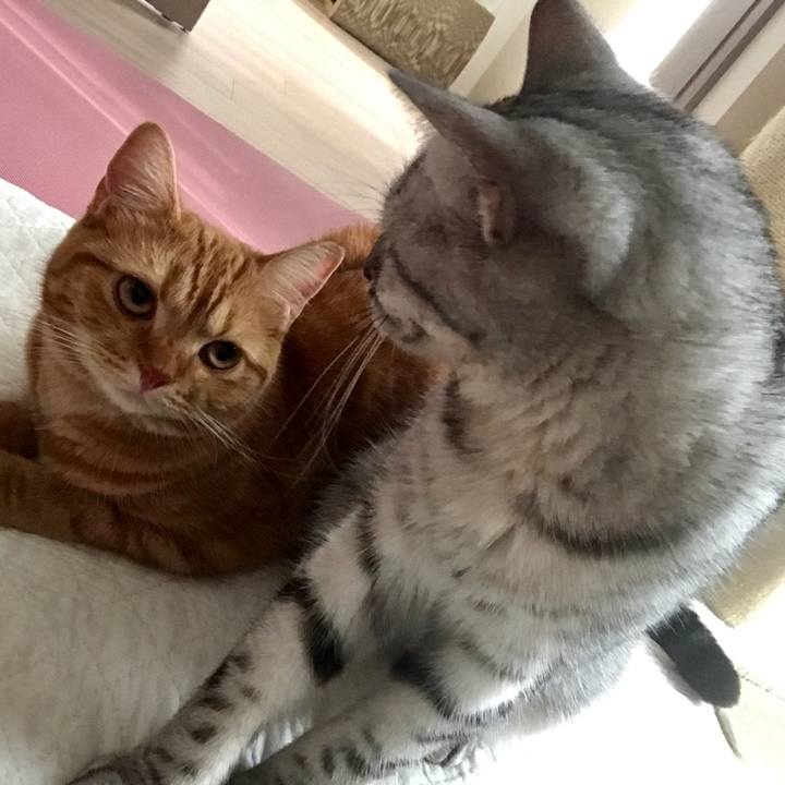 Fa7203c2 40c7 44fb 9a05 dd8b692baddb