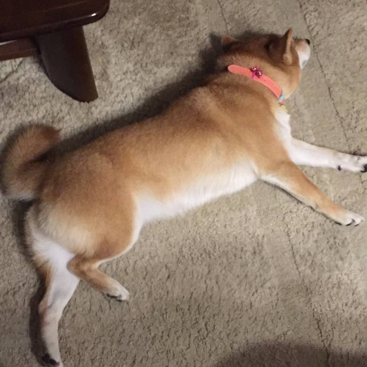 Fa72a1db 597e 40bd b77c aa79ac4a6014