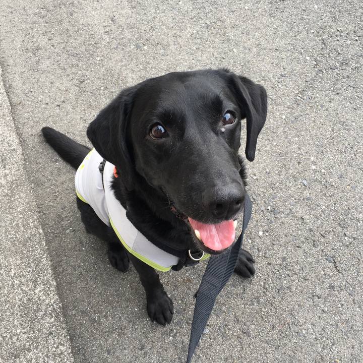 Fa72c8f6 aee3 4a8f bc81 169fc3860b5e