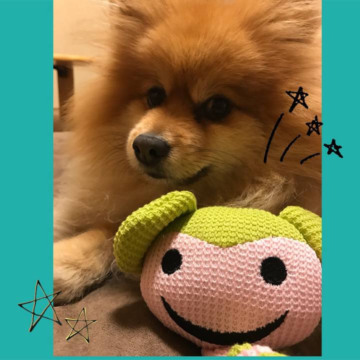 Fa73cf92 4bdb 466e 9e81 71782b46a13d