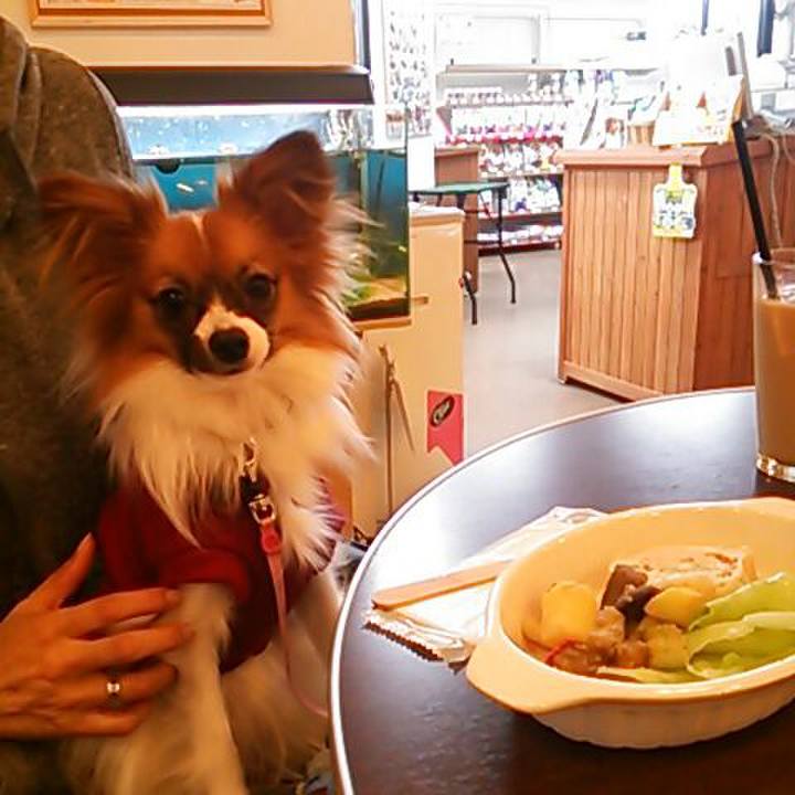 Fa746bec a2ea 428c b601 94232be5ed77