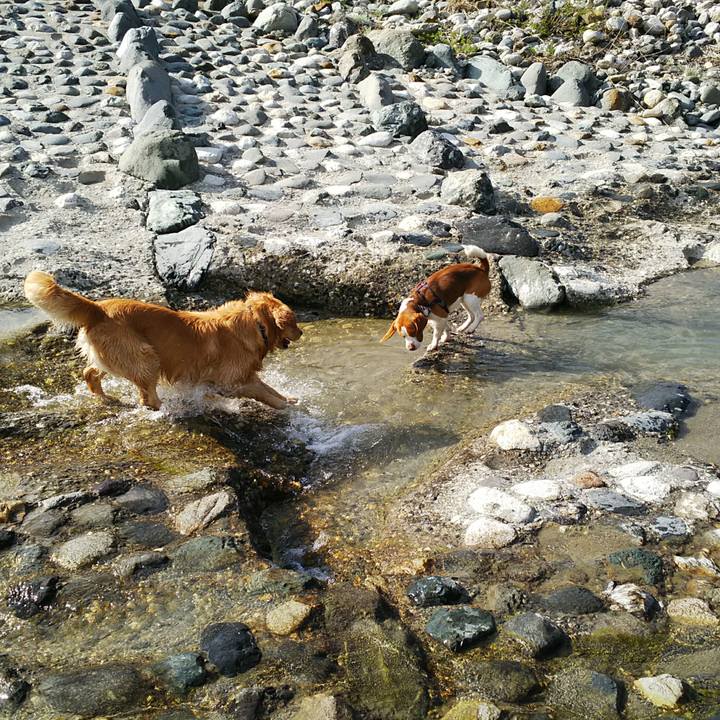 Fa75431c 1876 44ec a5cd ae7f6b09d10c