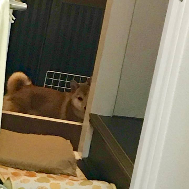 Fa756d4d 593a 4184 8d6f 7dbc4a53cd52