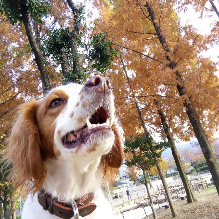 Fa760662 3f90 440d a93e 13eb27ddf483