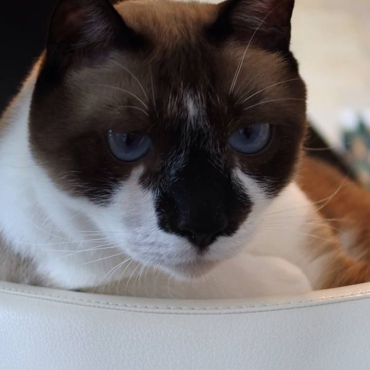 Fa7696d0 2d11 491b 94e7 3496e867a962