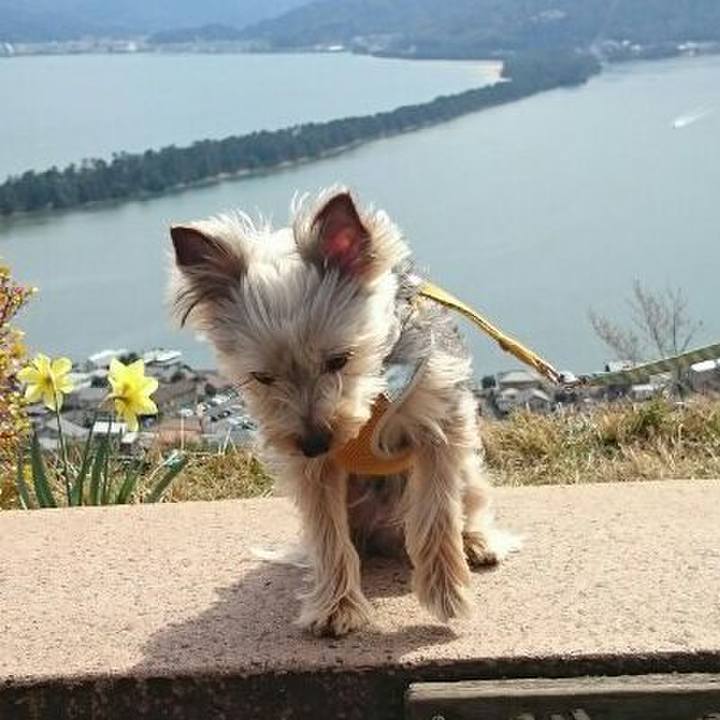 Fa76dc63 e8c0 41e6 9a52 773a4a734fae