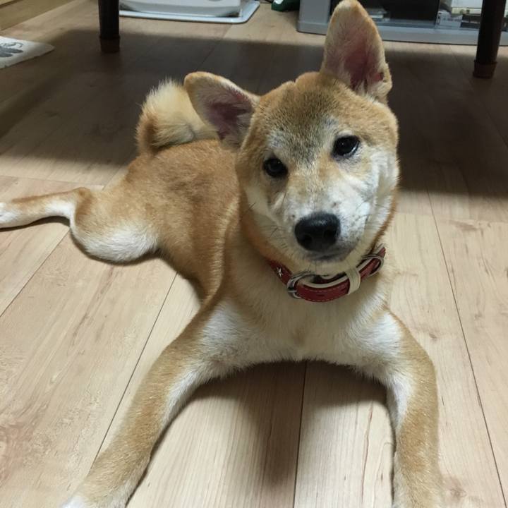 Fa772f5a b144 4710 a7b9 7d1080cfd8f0