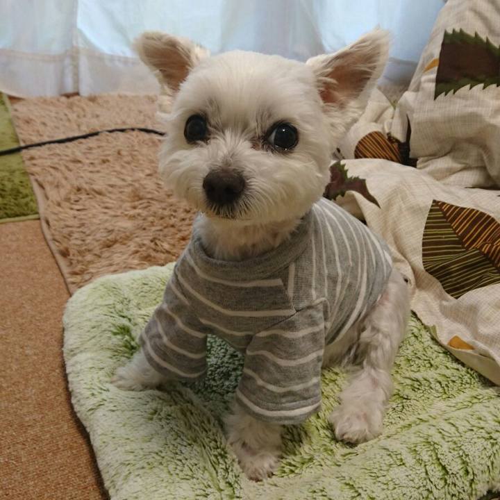 Fa77336a 1ab9 4fae a705 cb9c18c0997e