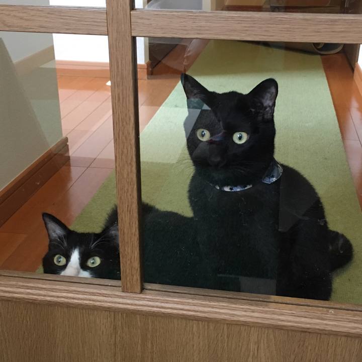 Fa779504 7db0 47c5 a5d4 63512ba07124