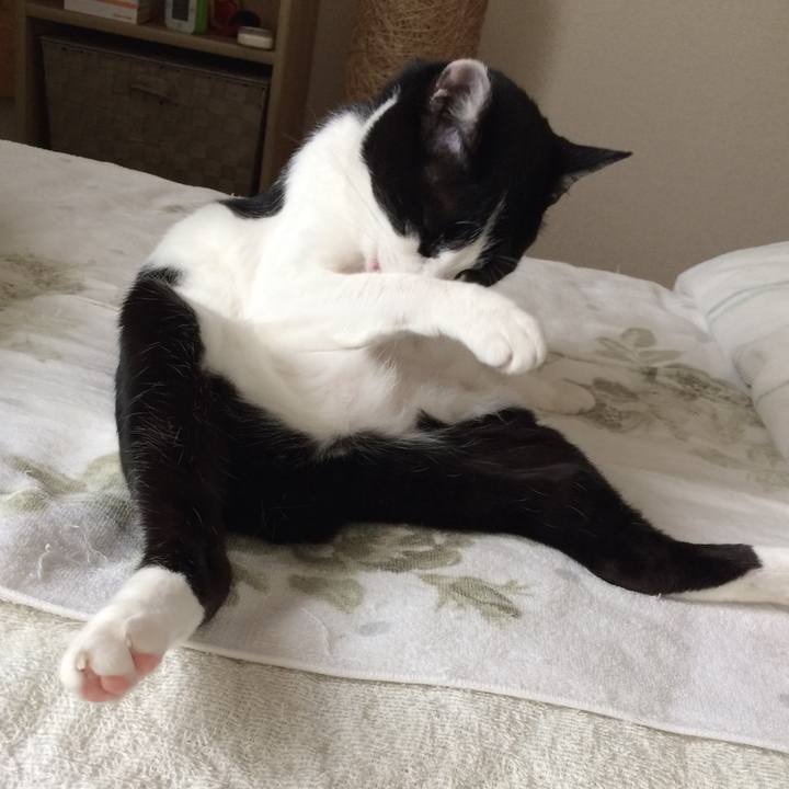 Fa78323c 5f8b 4a1b 9a8c 20a8bddfd4be