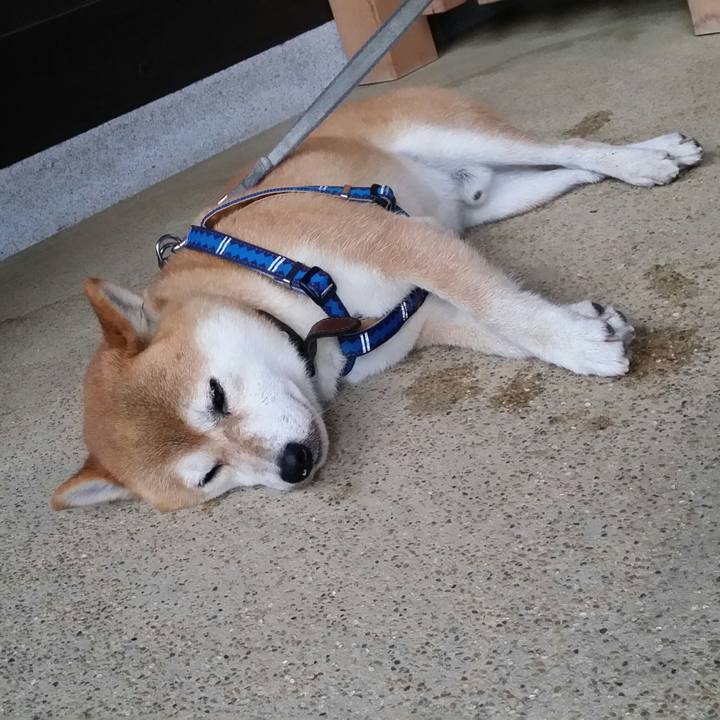 Fa7a6876 1794 4ca8 9e02 63c77de27473