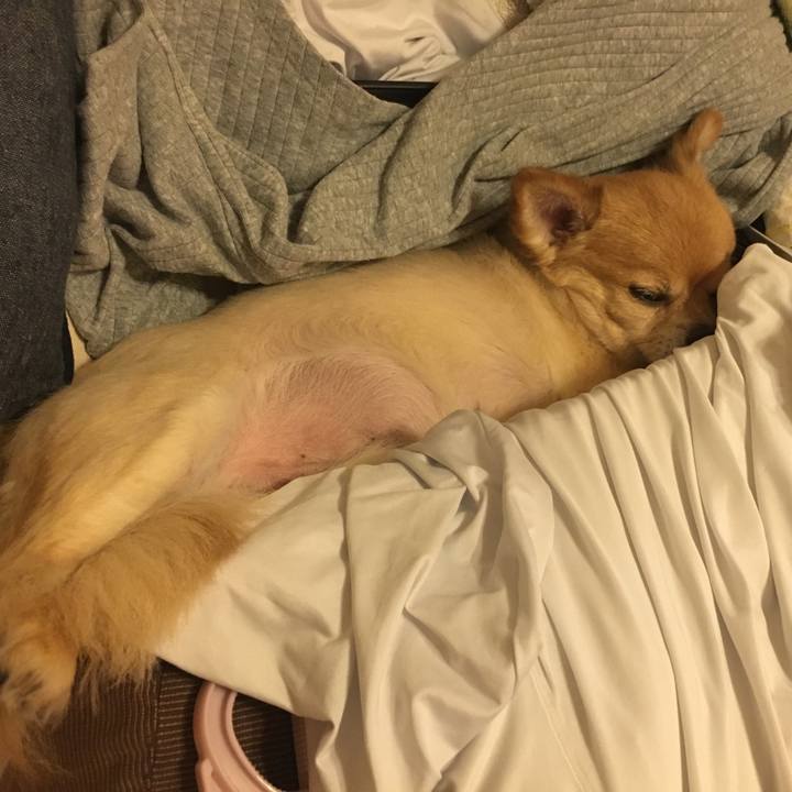 Fa7a9257 6139 4fe8 9ec2 ee1d576aad9b