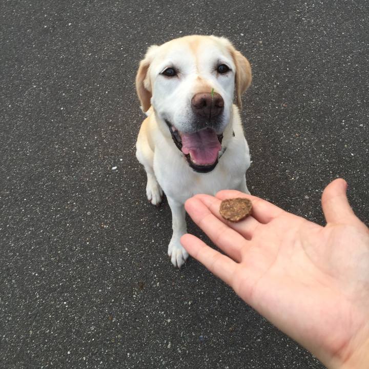 Fa7aba4a ca76 4a5c 8e7c da896543a4cf