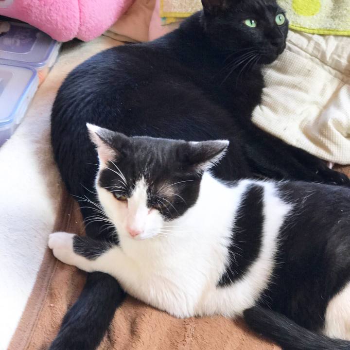 Fa7b1e4c 4d58 4f96 9e4e 3ec246a9d71a