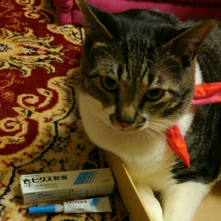 Fa7b6a0e fafd 4dc6 a161 38e47a8ba3bf