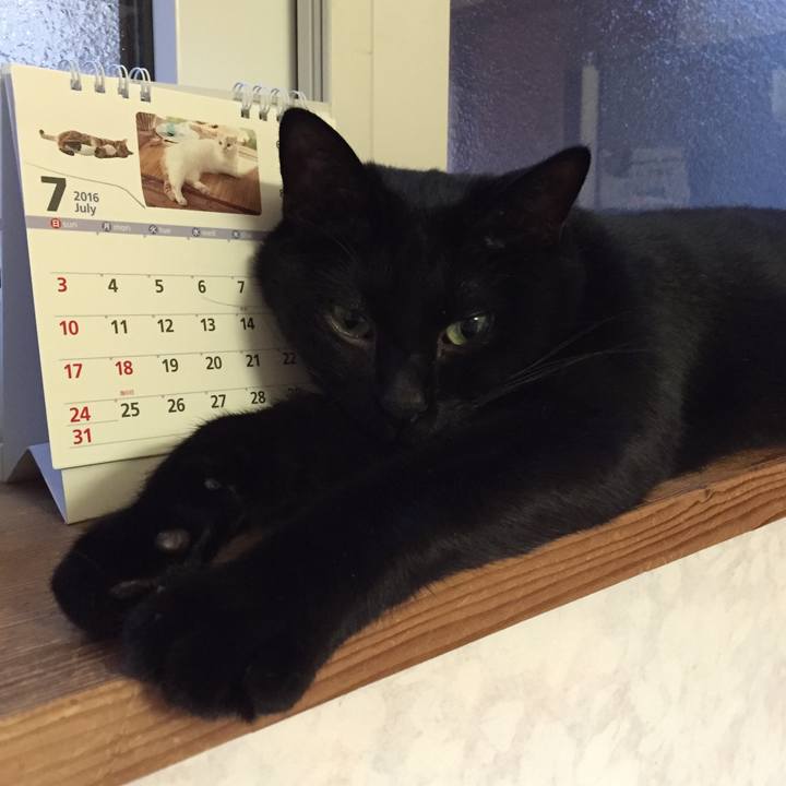 Fa7b8551 94b5 4035 b37f a65c892ba686