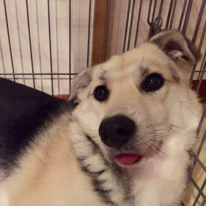 Fa7b9b93 14c6 4a86 9035 f1fd83abf24c