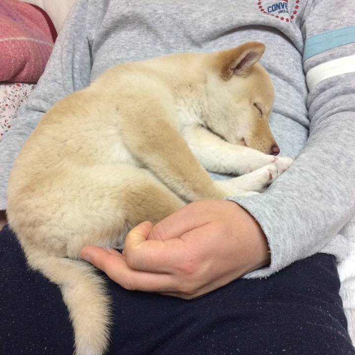 Fa7bdc83 bd20 487e b969 cf638cd081a3