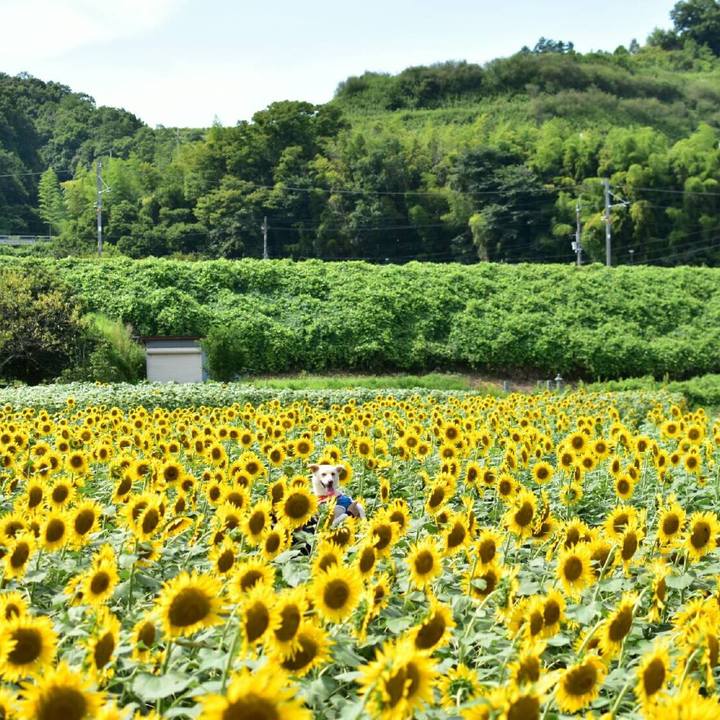 Fa7d3979 b4ae 4229 9135 79dd54b800cf